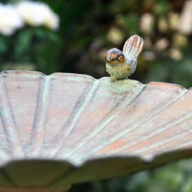 Birdbath Backyard Feeder Tray