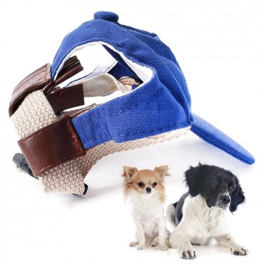 Lightweight Protective Dog Hat