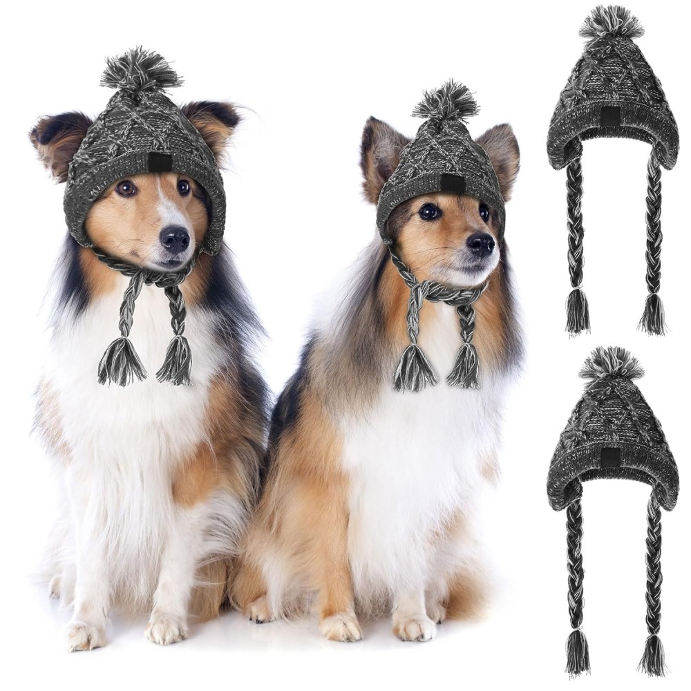 Winter Dog Hat 