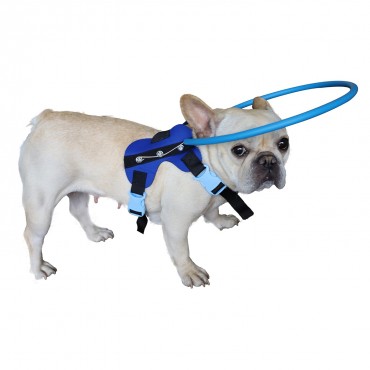 Anti Collision Dog Harness