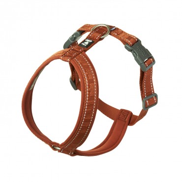 Cinnamon Dog Harness