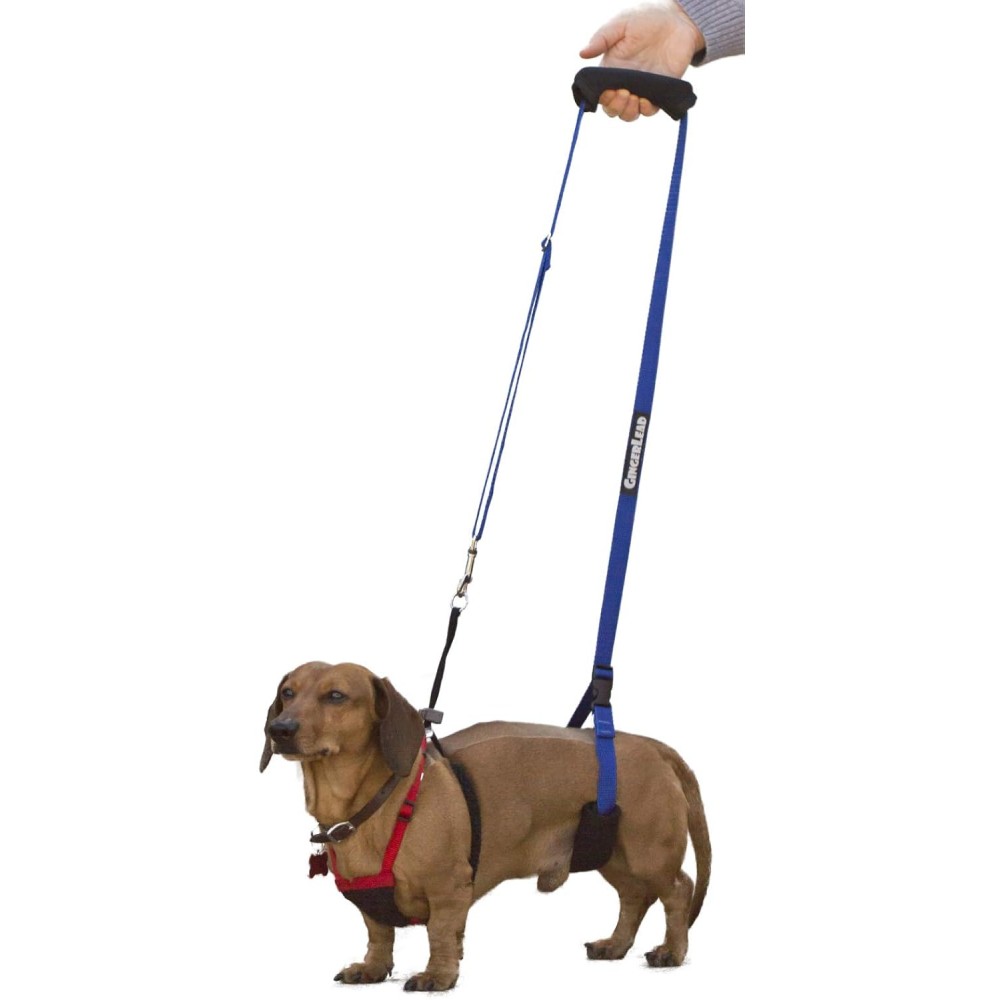 Dog Support Rehabilitation Harness