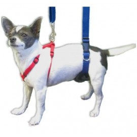 Dog Support Rehabilitation Harness