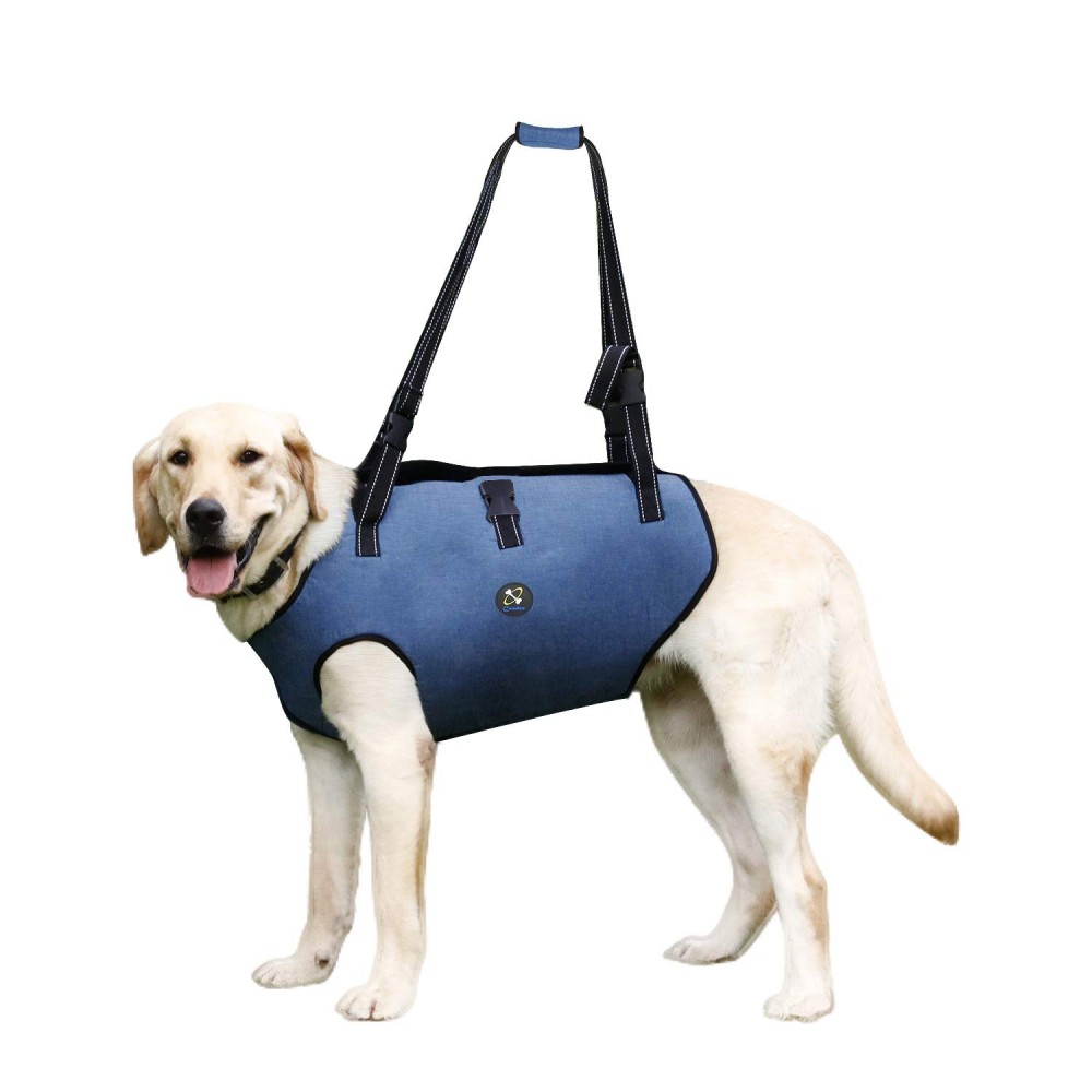 Rehabilitation Sling Harness