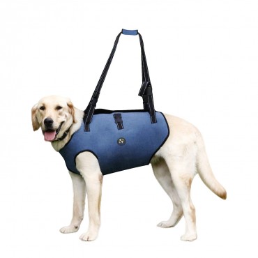 Rehabilitation Sling Harness