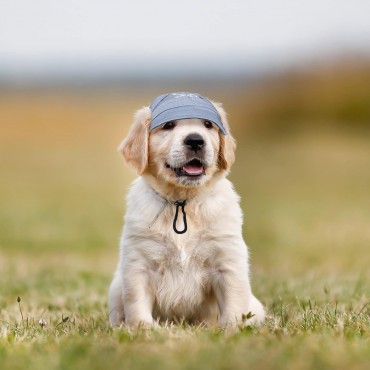 Baseball Cap Pet Hats For Dogs