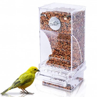 Birds Food Feeder