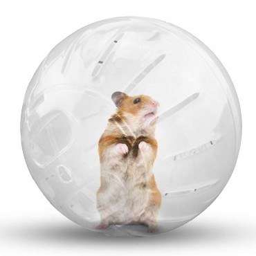 Chinchilla Ball Fitness Wheel