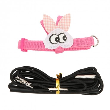 Flying Harness Leash