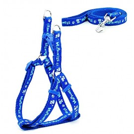 Harness And Leash Set