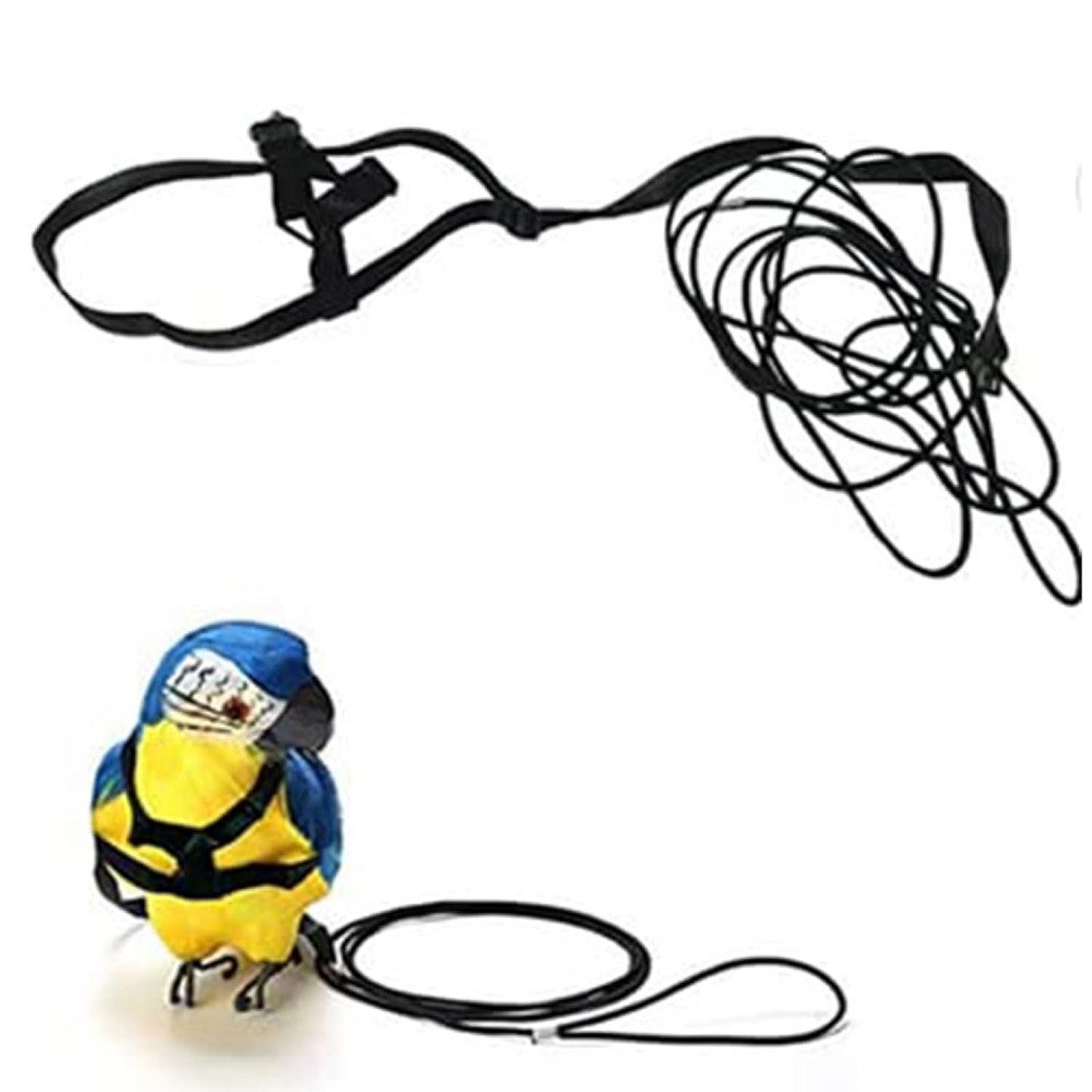 Parrot Bird Harness Leash 