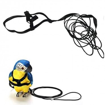 Parrot Bird Harness Leash 