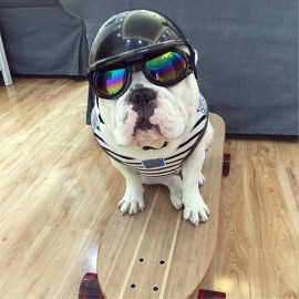 Pet Helmet Hat Dog Ridding Caps