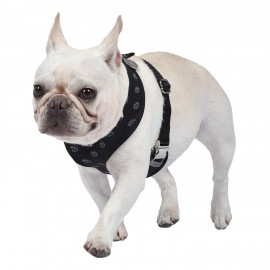 Reversible Harness